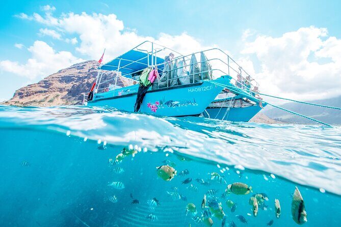 Hawaii Snorkeling with Turtles Boat Tour in Waikiki - The Experience Itself: A Closer Look