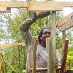 Hawaiian Ohia Tea and Tikis - Exploring the Tour Itinerary in Depth