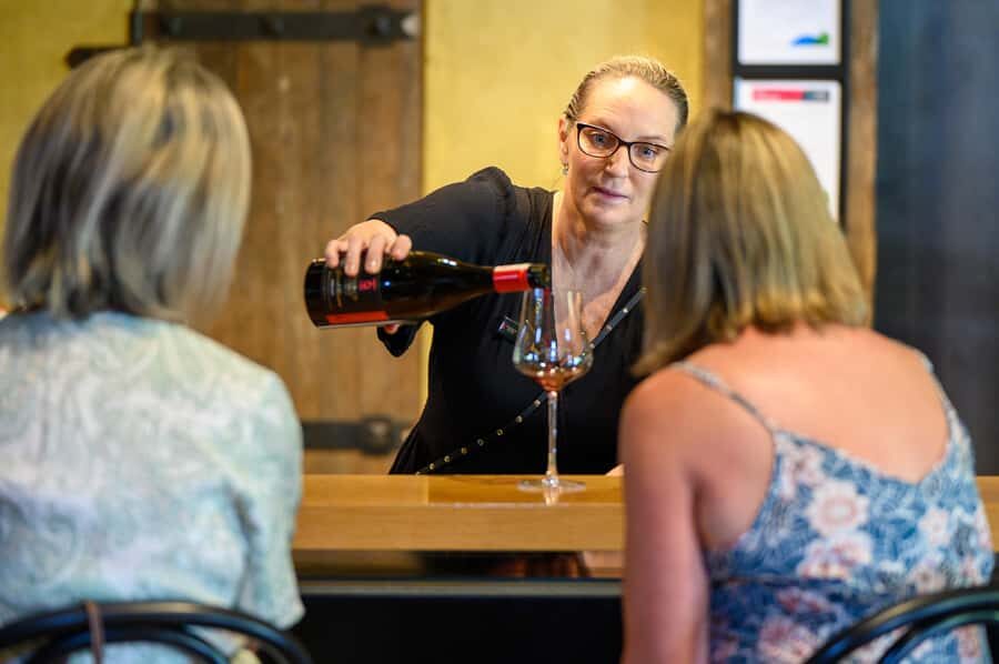 Hawkes Bay: Half-Day Wine Tour with Tastings and Cheeseboard - What to Expect from the Itinerary