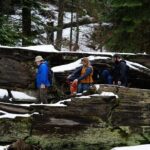 Heart of the Giant Forest Hike - FAQs