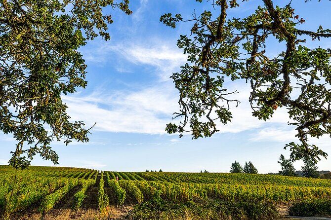 Heart of Willamette Winery Pass 2024: Wine Tastings and Discounts - What to Expect From the Tour
