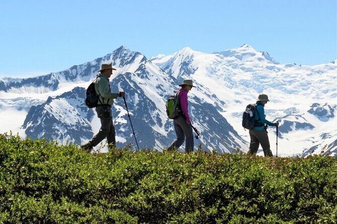 Heli Hiking in Seward - Price & Value