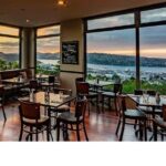 Heritage City and Larnach Castle Van tour with Historian Guide - The Experience: Pros and Cons