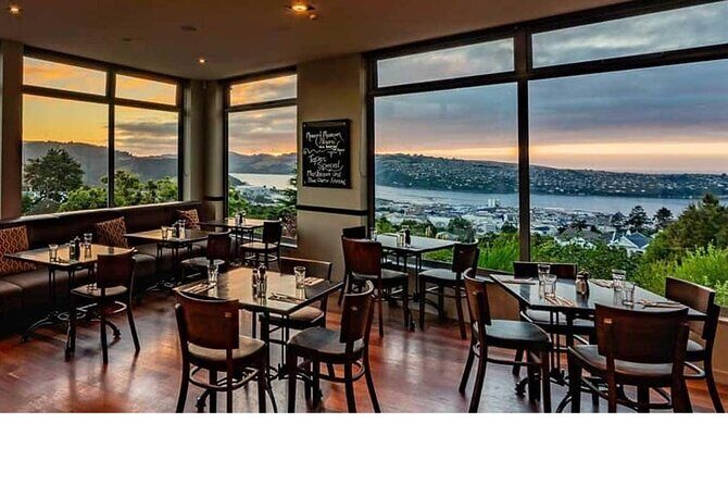 Heritage City and Larnach Castle Van tour with Historian Guide - The Experience: Pros and Cons