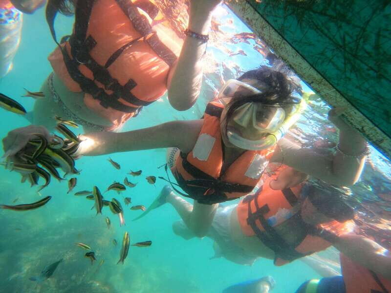 Hermosa Isla de ixtapa - Value for Money