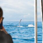 Hervey Bay: Half Day Whale watching & Island Stop Tour - Scenic Cruising and Coastal Highlights