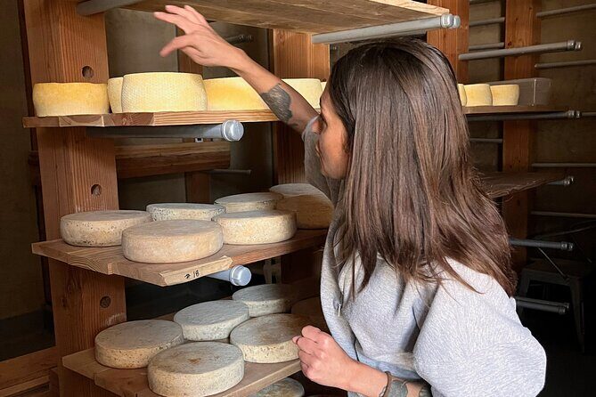 Hidden Gems Adventure in West Sonoma County - The Experience from a Guest’s Perspective