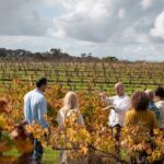 Hidden Gems: Boutique Full-Day Wine, Farm & Lunch Tour - What Makes This Tour Stand Out?
