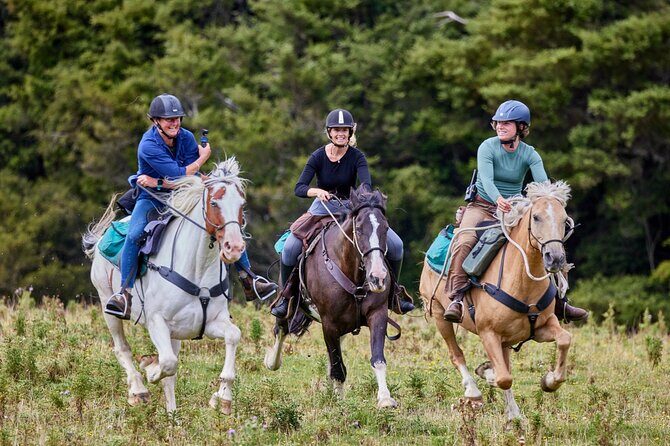 High Country Enchantment Full-Day Horse Trek - The Scenery and Terrain