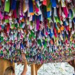 Hike explore and more in The Great Smoky Mountains - The Zip Lines: Highlights and Considerations