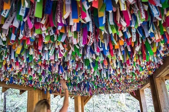 Hike explore and more in The Great Smoky Mountains - The Zip Lines: Highlights and Considerations