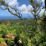 Hike Honolua Ridgeline - What to Expect During the Tour