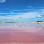 Hike in Las Coloradas and Boat Tour of Río Lagartos - Price and Value