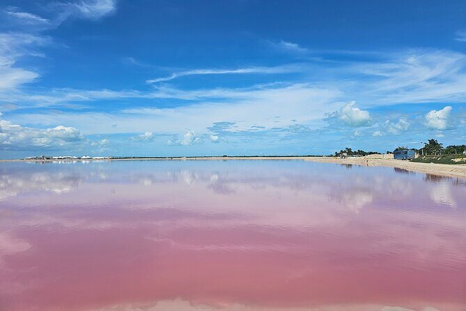 Hike in Las Coloradas and Boat Tour of Río Lagartos - Price and Value