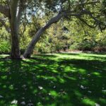 Hike in the Santa Monica Mountains - What About the Logistics?