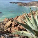 Hike La Paz Balandra Overlook "The most beautiful beach in MX!" - Who Will Love This Experience