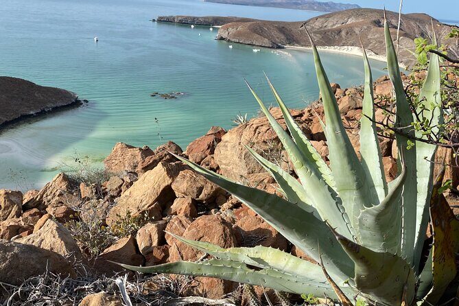 Hike La Paz Balandra Overlook "The most beautiful beach in MX!" - Who Will Love This Experience
