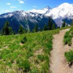 Hike Mt. Rainier & Taste Yakima Valley Wine: All-Inclusive Day Tour from Seattle - What Travelers Say