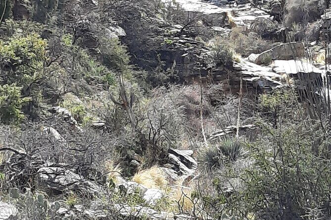 Hiking at Starr Pass and Tucson Mountains - The Itinerary: Detailed Breakdown