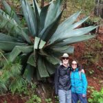 Hiking in Sierra Norte the most spectacular trails in Oaxaca - What’s Included and What You Should Know