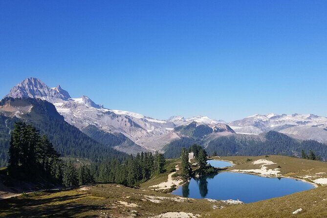 Hiking in the Stunning Garibaldi Park - Who Should Consider This Tour?