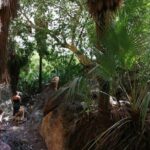 Hiking to Desert Palm Oases of San Carlos with a Biologist - Who Would Enjoy This Tour?