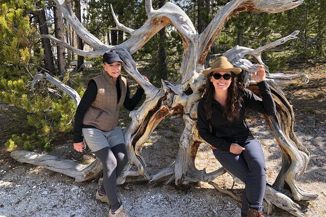 Hiking Tour: Hidden Gems | West Yellowstone | PRIVATE + Lunch - Price and Value Consideration
