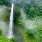 Hilo: Akaka Falls, Volcanoes, and Onomea Bay Guided Tour - What Travelers Say