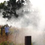 Hilo: Hawaii Volcanoes National Park and Hilo Highlights - The Value of This Tour