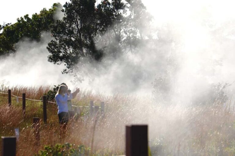 Hilo: Hawaii Volcanoes National Park and Hilo Highlights - The Value of This Tour