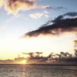 Hilo: Night Dive for Certified Divers - The Experience: Whats Included and What to Prepare