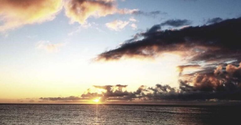 Hilo: Night Dive for Certified Divers - The Experience: Whats Included and What to Prepare