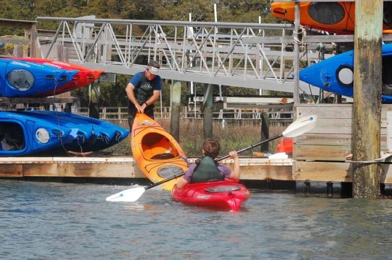 Hilton Head: 2-Hour Kayak Dolphin Nature Tour - The Value of the Experience