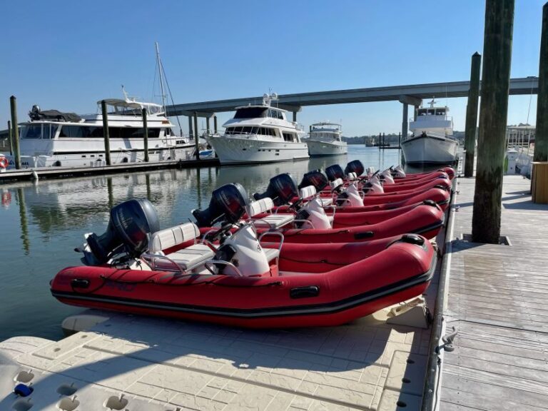 Hilton Head: Guided Disappearing Island Tour by Mini Boat - What’s Included and What’s Not