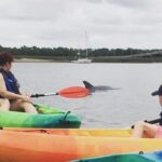 Hilton Head Guided Kayak Eco Tour - Downsides to Keep in Mind