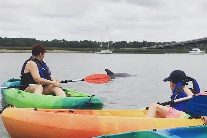 Hilton Head Guided Kayak Eco Tour - Downsides to Keep in Mind