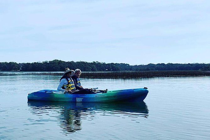 Hilton Head Guided Kayak Tour - Pros & Cons: The Real Deal