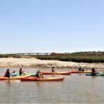 Hilton Head Island: Guided Kayak Tour with Coffee - Wildlife and Scenery Highlights