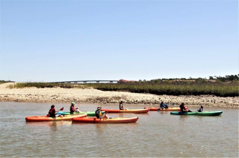 Hilton Head Island: Guided Kayak Tour with Coffee - Wildlife and Scenery Highlights