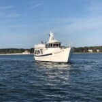 Hilton Head Island: Ocean Dolphin Cruise - What Do the Reviews Say?