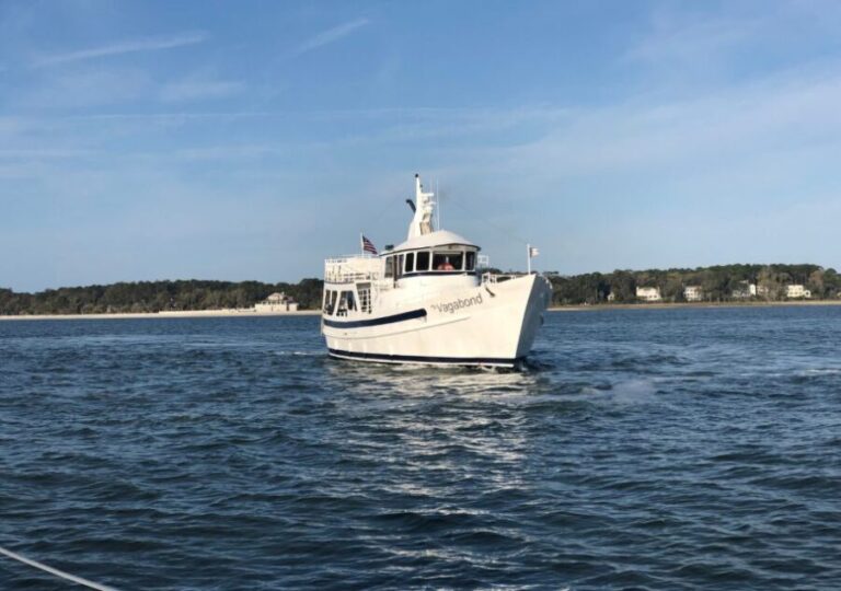 Hilton Head Island: Ocean Dolphin Cruise - What Do the Reviews Say?