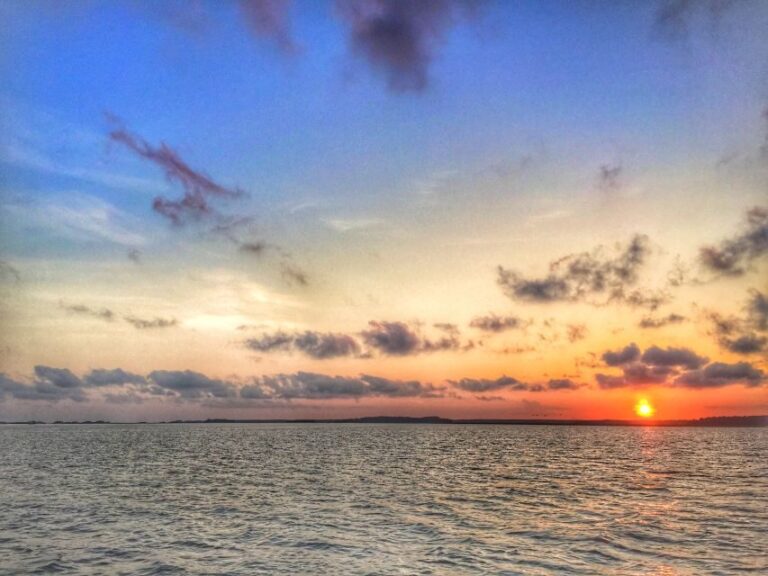 Hilton Head Island: Sunset Creek Cat Boat Tour - What’s Included and What to Expect