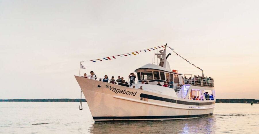 Hilton Head Island: Sunset Dolphin Cruise - The Experience Itself