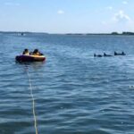 Hilton Head: Private Dolphins & Tubing Adventure - The Value of This Experience