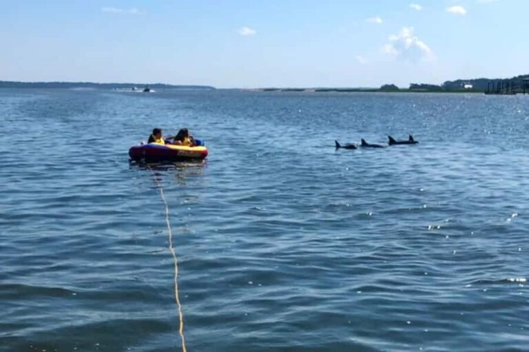 Hilton Head: Private Dolphins & Tubing Adventure - The Value of This Experience