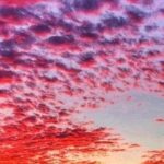 Hilton Head: Private Sunset Cruise - The Role of Your Captain and Crew