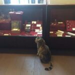 Historic Museum Tour Ticket - The Practical Aspects