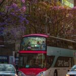 Historic Neighborhoods & Monuments: Hop-On, Hop-Off Mexico City - The Guides and Extras