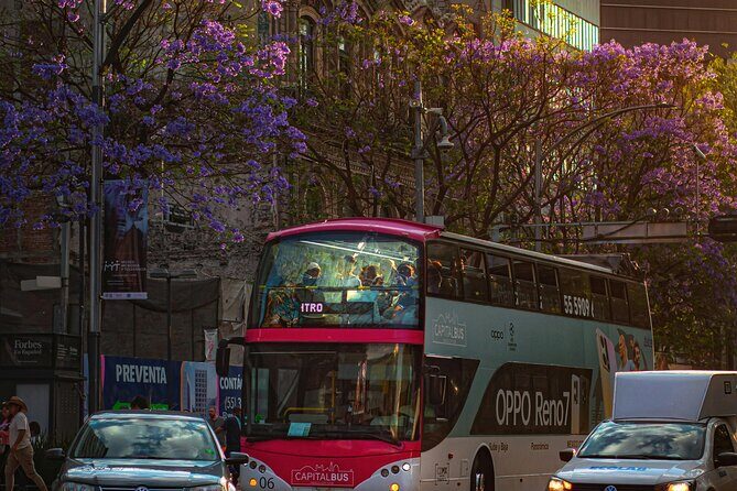 Historic Neighborhoods & Monuments: Hop-On, Hop-Off Mexico City - The Guides and Extras