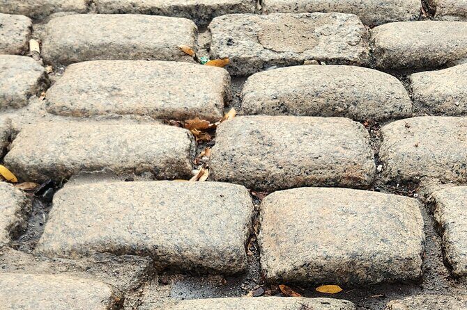 Historic Underground Railroad Walking Photo Tour w Local Guide - The Highlights of the Itinerary